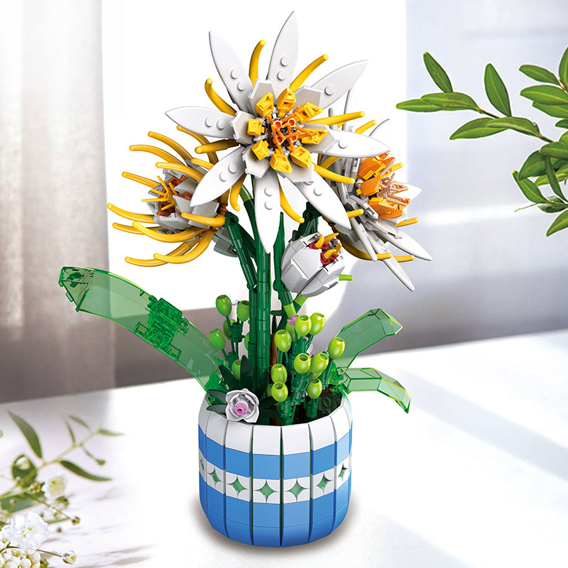 JJ9033 Epiphyllum Bonsai (835 PCS)
