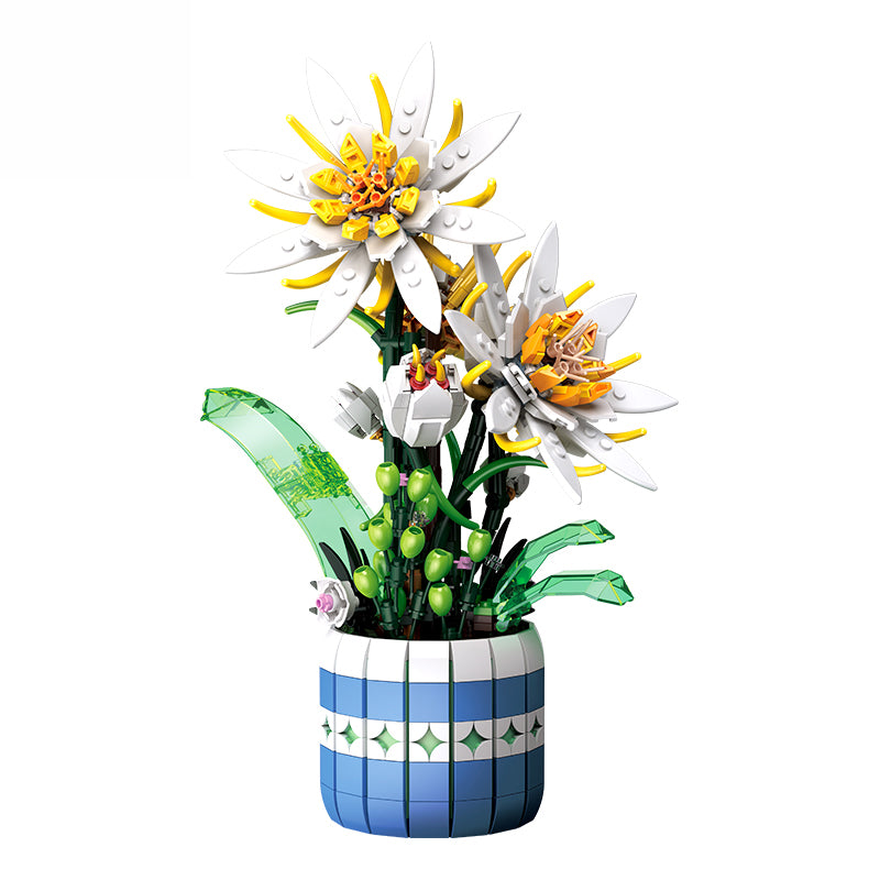 JJ9033 Epiphyllum Bonsai (835 PCS)